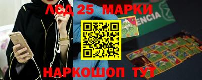 индика Гусь-Хрустальный