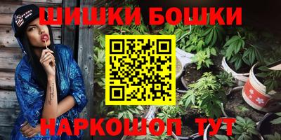 индика Гусь-Хрустальный