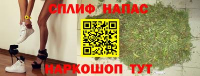 индика Гусь-Хрустальный