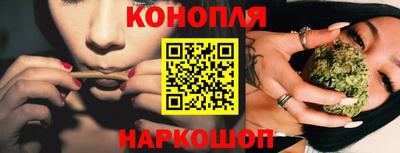 индика Гусь-Хрустальный