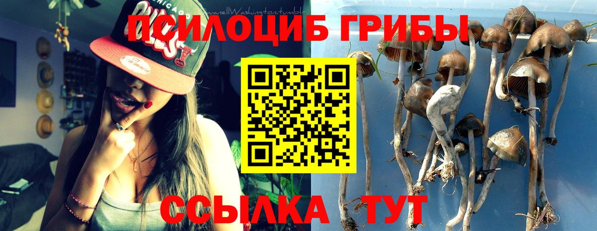 Нижний Тагил  Галлюциногенные грибы мицелий  Вход с VPN 